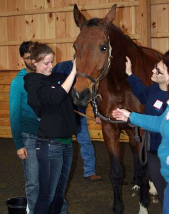 Photo provided by Deidre Hamling Following the introduction, the group moved to the large indoor arena where five horses of different shapes, sizes, and temperaments were the focus of the students to use their observation skills to interpret the horse's behavior. Breaking into smaller groups the students chose the horse they preferred to work with.