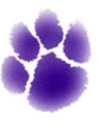 Warwick Valley recognizes 358 scholar–athletes in 24 sports over three seasons Warwick Valley recognizes 358 scholar–athletes in 24 sports over three seasons