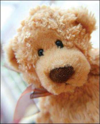 Bear hugs for Christmas Bear hugs for Christmas