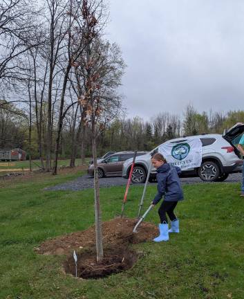 Warwick. Arbor Day poster contest and tree planting Madeline Norberg planting her tree. Photo provided.