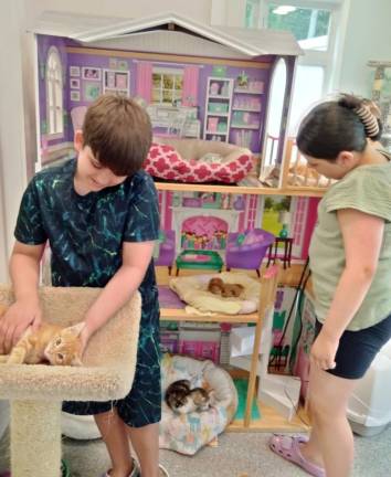 Owen Peterman and Olivia Lynch check out some of cats and kittens available at the Warwick Valley Humane Society.