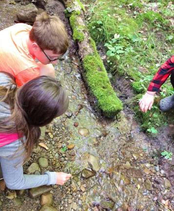 Summer camp registration is now open in New York Campers explore a stream during a lesson group (Photo provided)