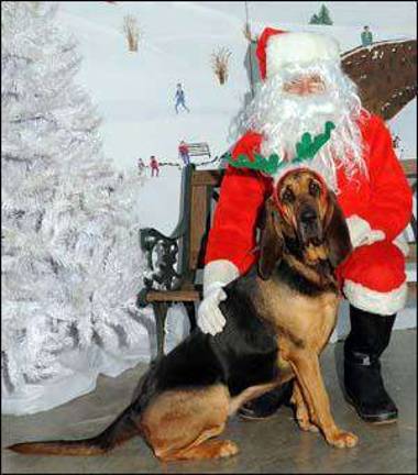 Christmas card from Lulu and Santa Christmas card from Lulu and Santa