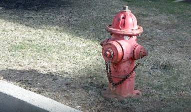There are approximately 321 fire hydrants in the Village of Warwick. Village crews will be flushing them, beginning July 31 starting at 7 p.m. Photo illustration.