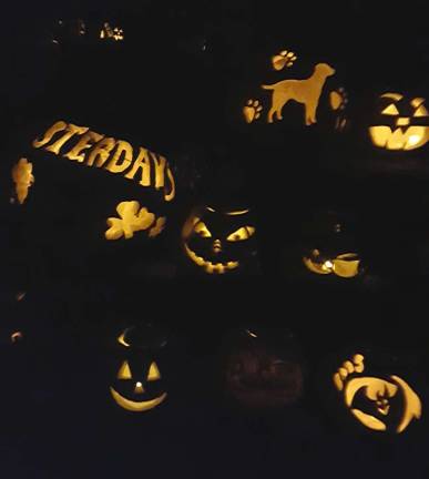Light Up the Night for the Arts raises $1,436 for the Warwick Valley School District Here is a sampling of the nearly 180 donated for the second annual Light of the Night for the Arts, held Nov. 1 at the Wright Family Farm.