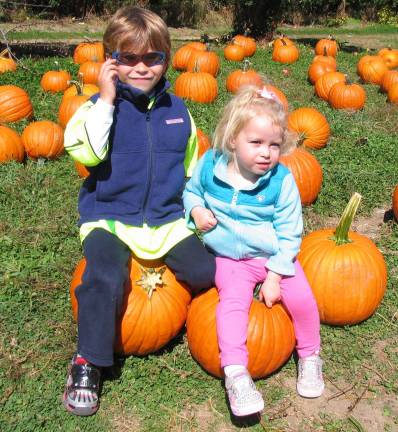 October is pumpkin-picking time Photos by Roger Gavan Drew Ellner, 5, and his sister Gabby, 2, in the pumpkin field at Apple Ridge Orchards.