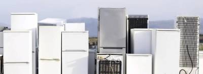 Twenty-five dollar rebates are available when you replace an old refrigerator or freezer (Photo source: https://www.greenamerica.org.)