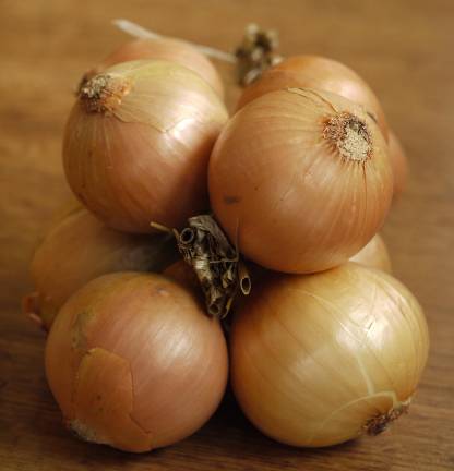 The Pine Island Chamber of Commerce will hold its 12th annual Onion Eating Contest on Sunday, Sept. 1 at the Polish Legion of American Veterans Pavilion at 4 p.m. According to Russ Kowal, the onions used for the contest are locally grown, although no particular variety. Each one weighs eight ounces; they are prepared by the Quaker Creek Store on Pulaski Highway.