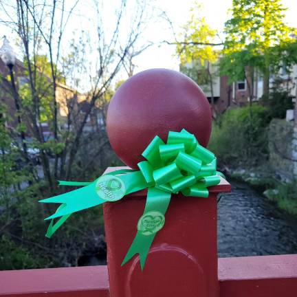 May is Mental Health Awareness Month Green ribbon for Mental Health Awareness Month. Photo provided.
