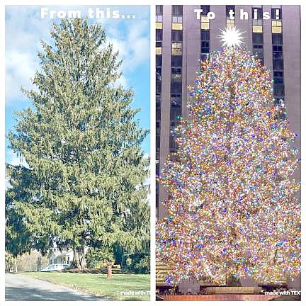 Before outside of Carol Schultz's house in the Village of Florida, and then at Rockefeller Center in New York City.