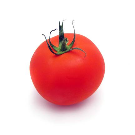 Scheuermann Farms looking for the areas largest tomato Scheuermann Farms looking for the areas largest tomato