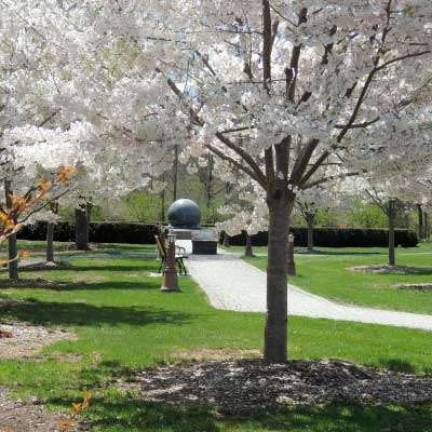 Arboretum to hold plant sales in May Orange County Arboretum