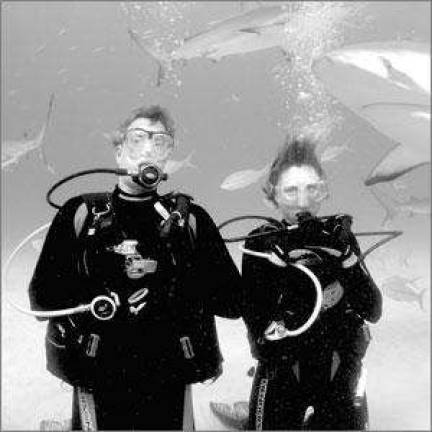 Swimming with the sharks Swimming with the sharks