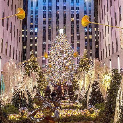 The tree that grew in Carol Schultz's front yard in Orange County now rises above Rockefeller Center, adorned with more than 50,000 multi-colored LEDS on approximately five miles of wire.