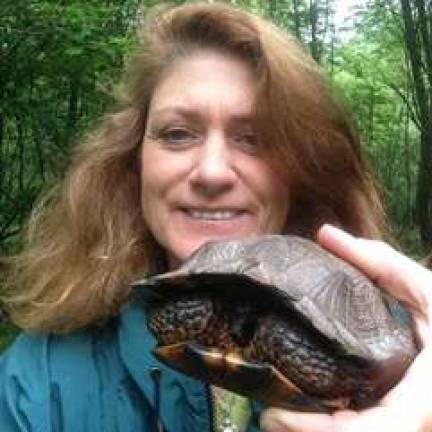 Carol Ann Linguanti Carol Ann Linguanti