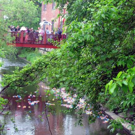 Warwick's 24th annual Duck Derby to be held May 18 The ducks race along Wawayanda Creek towards the Carriage Path Bridge.