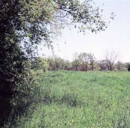Raynor Country is showcasing 76-acre parcel in Warwick Raynor Country is showcasing 76-acre parcel in Warwick
