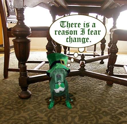 One Lucky Leprechaun Our puppy on Saint Patrick's Day