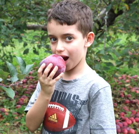 Apple and pumpkin season in full swing Photos by Roger Gavan Luciano Cirrito Jr., 7, takes a bite out of a freshly picked apple.
