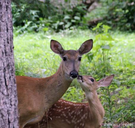 A kiss for mom A kiss for mom