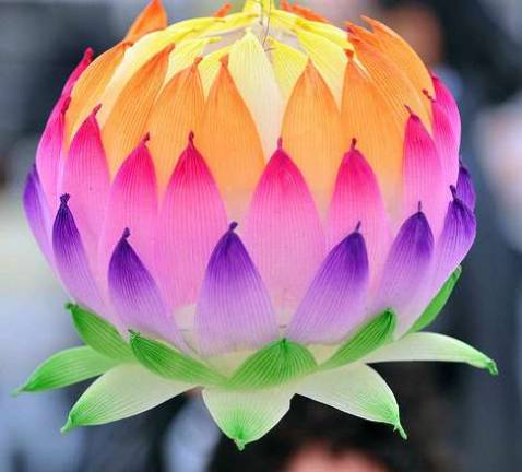 Albert Wisner Public Library will celebrate Asian and Pacific Island culture during May The Members of Korean Spirit and Culture Promotion Project will help you make a lotus flower lantern using colorful paper and wire frame on May 21.