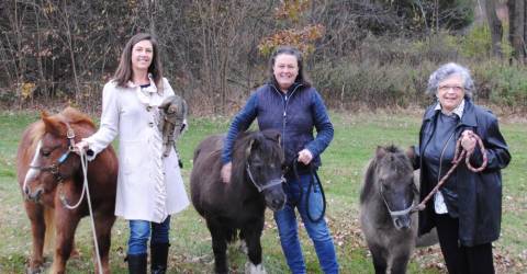 Warwick residents join forces with Iron Horse Sanctuary - The Warwick Advertiser
