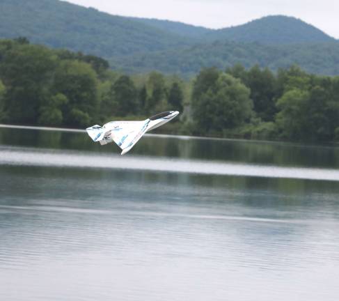 Warwick airport hosts seventh annual 'Electric Fun Fly' A swept wing Hobby King Skipper zooms over Wickham Lake.