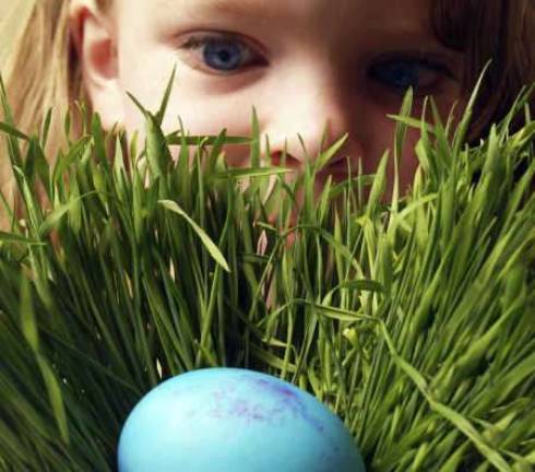Easter Egg Hunt coming soon Easter Egg Hunt coming soon