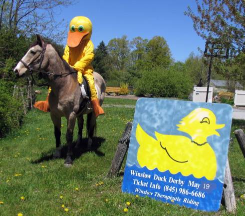 Ducks in a row Photo by Roger Gavan This "duck" atop Duke want's everyone to purchase their tickets for Warwick's annual Duck Derby, scheduled Sunday, May 19.