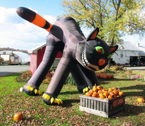 Warwick in autumn Whimsical display at Scheuermann Farms and Greenhouses in Pine Island.