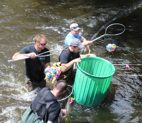 Winslow’s 28th annual Duck Derby raises $20,000 Volunteers wading in the fast moving water captured all the ducks at a finish line net placed just beyond the Main Street Bridge.