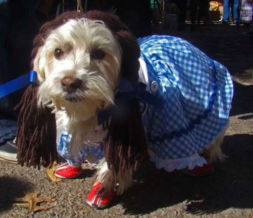 GWL Bark Park is hosting Howl-o-ween Costume Party and Fund Raiser on Oct. 20 The Greenwood Lake Bark Park is hosting its fourth annual Howl-o-ween Costume Party on Saturday, Oct. 20 from 10 to 11:30 a.m.