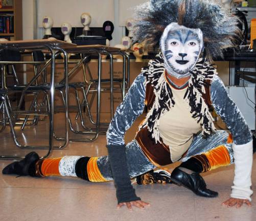 Year in Photos: ‘Cats’ Year in Photos: ‘Cats’