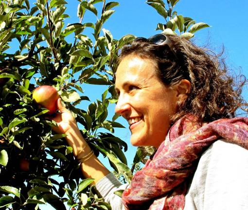 Pick your own Photo by Ed Bailey Arpine Poggioli of Monroe picks an apple last Sunday at Maskers Orchards on Ball Road in Warwick.