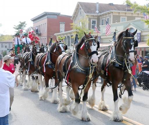 The world-famous Budweiser Clydesdales were a major attraction.