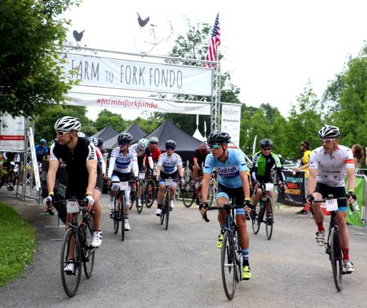 More than 500 cyclists participate in Farm to Fork Fondo at Warwick Valley Winery Photo by Roger Gavan On a cloudy Sunday morning, June 10, more than 500 cyclists rode from the picturesque Warwick Valley Winery, the host for this year’s event, in distance options for cyclists of all abilities.