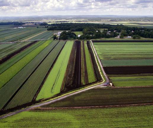 Drones raise concerns about privacy, safety Photographer Robert G. Breese used a camera-drone to capture this image of this farm road that cuts through these fields of the black dirt region off Pulaski a Highway in Warwick.