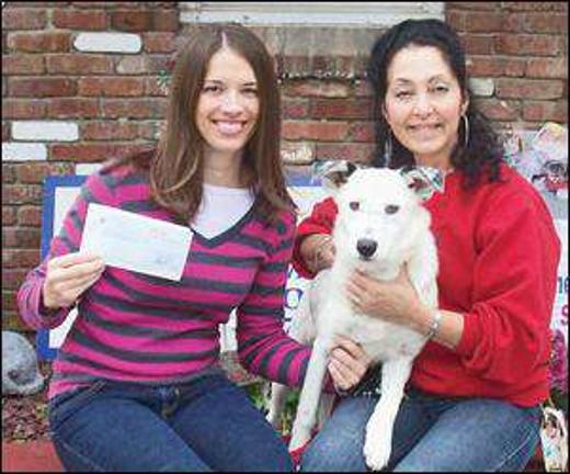 $500 shelter donation worth barking about $500 shelter donation worth barking about