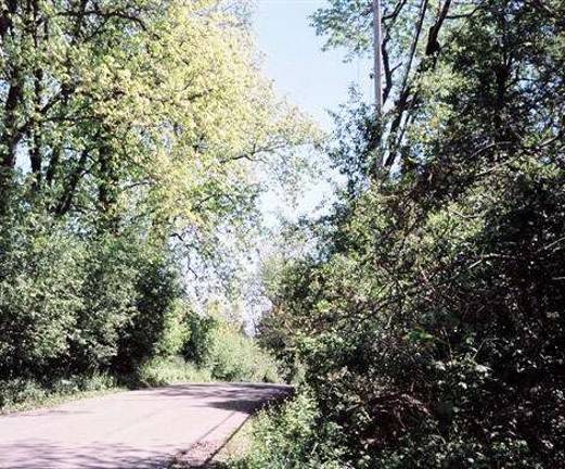 Raynor Country is showcasing 76-acre parcel in Warwick Raynor Country is showcasing 76-acre parcel in Warwick