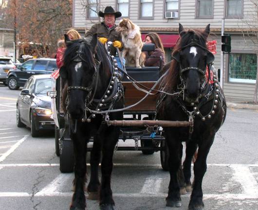 Shoppers braved the cold to be 'Home for the Holidays' Visitors took advantage throughout the day for the free horse and buggy rides traveling through the Village. Sean Giery and his team of Percherons, Mabel and The Colonel, were back with their mascot þÄúButch,þÄù who enjoys riding shotgun.