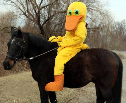 Tickets now on sale for Winslow’s 28th Annual Duck Derby Photo by Roger GavanThe Winslow Duck, aka Winslow volunteer Jill Ferro, atop “Bob.”