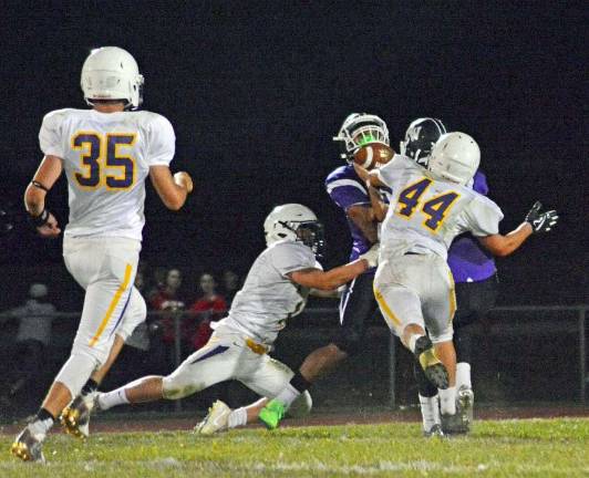 Warwick Valley defeats Saugerties to improve to 3-0 Provided photo Warwick's Sean English (#44), shown here against Monroe-Woodbury, has been a big part of the Wildcats' 3-0 start.