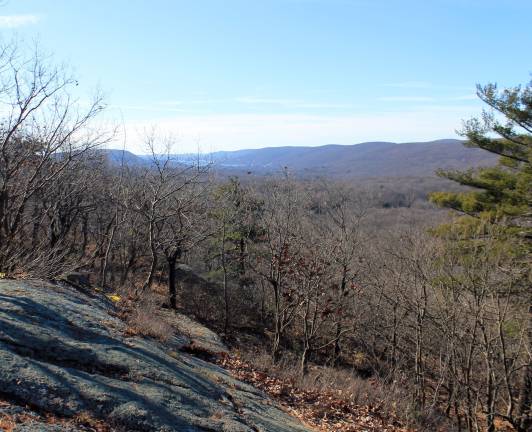 Provided photo The Orange County Land Trust (OCLT) has announced the protection of 116 acres of land in the Town of Warwick. In addition to its ecological value, the property boasts scenic, landscape-scale views that are now accessible to the public through the Doris Duke Wildlife Sanctuary, as well as the Appalachian Trail.