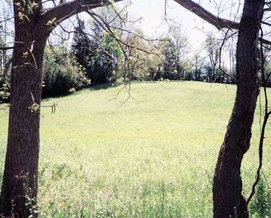 Raynor Country is showcasing 76-acre parcel in Warwick Raynor Country is showcasing 76-acre parcel in Warwick