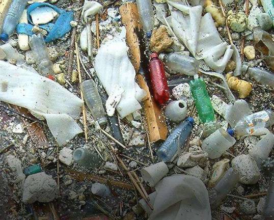 Microplastics all around us Plastics and microplastics debris collected along the shoreline of the Fishkill Creek.