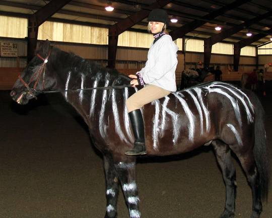 Winslow hosts Halloween horse show Photo by Roger Gavan Jennifer Fighera on a zebra known on other days as "Chester."