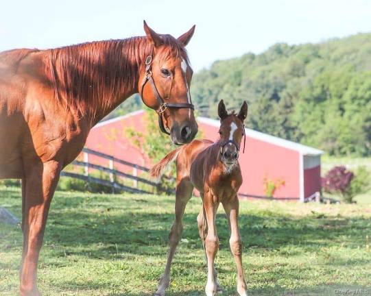 New dream retreat New dream retreat