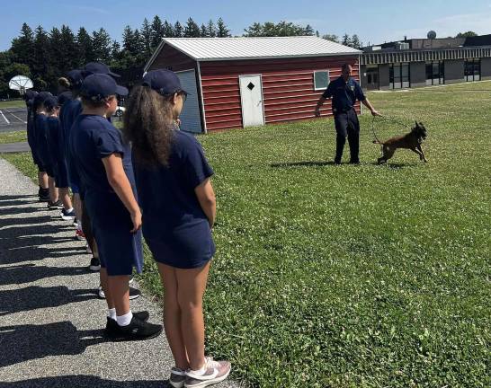 Join the Junior Police Academy this summer K-9 training is a key element of the Junior Police Academy in Warwick. Photos provided by the Warwick Police Department.