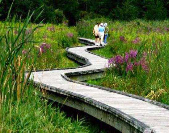 Winding through Winding through