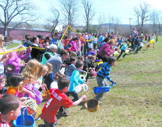The great egg hunt at Pennings Farm always draws a crowd And they're off! After last minute instructions and a 10-second countdown by Steve Pennings, owner of the farm market, the children were off and hunting, not only for the ordinary goodies, but also for special ìgolden eggs.î